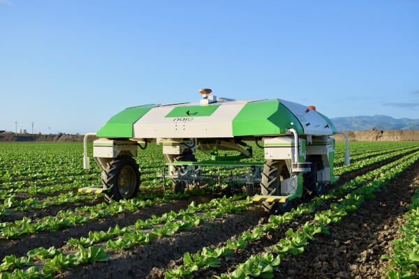 DSX SIEWNIK NO&nbsp;TILL