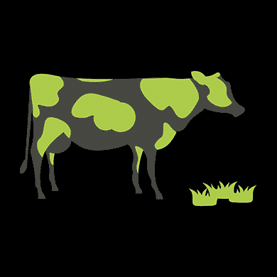 krowa